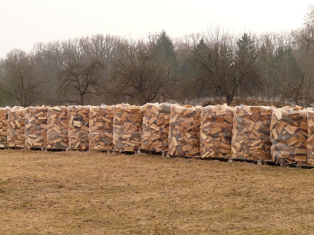 palivové dřevo