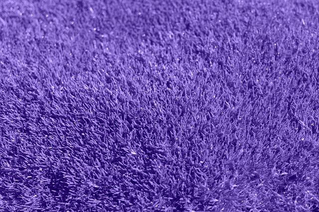 fialový vlněný koberec